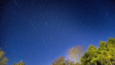 Solar storm knocks out 40 newly launched satellites from Elon Musk's SpaceX