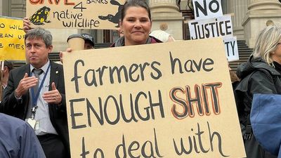 Farmer to take legal action after 'blindsided' by Victorian government campsite ruling