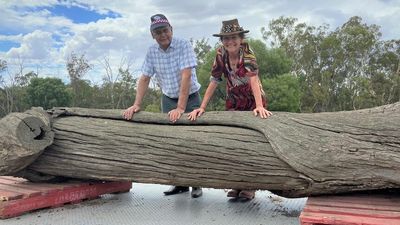 Aboriginal scar tree returned to country decades after it was taken to Melbourne Zoo