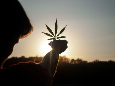 Cannabis Movers & Shakers: The Parent Co., Flora Growth, GreenGrowth, AFC Gamma, Schwazze, TerrAscend, High Times