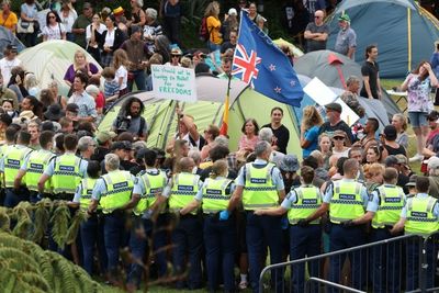 New Zealand police clash with Covid protesters at parliament