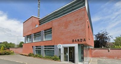 Pensioner suffers fractured skull after being hit with bolt cutters in raid