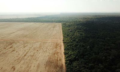 ‘Loophole’ allowing for deforestation on soya farms in Brazil’s Amazon