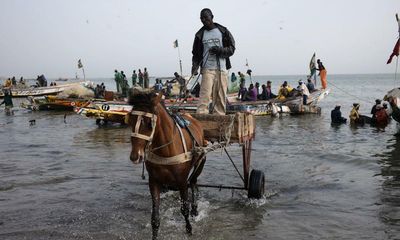 Fish oil and fishmeal industry harming food security in west Africa, warns UN