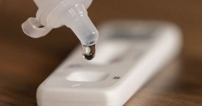 Government planning date to end free lateral flow tests and charge people £30