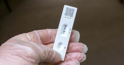 Lateral flow tests could cost £30 with UK Government planning to end free testing in summer