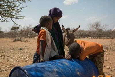 Somalia hit by worst drought crisis in a decade: NGO