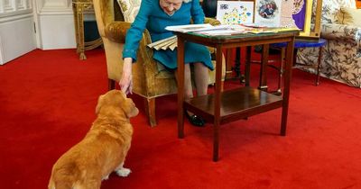 The Queen opts for new dog breed breaking her long-held corgi tradition