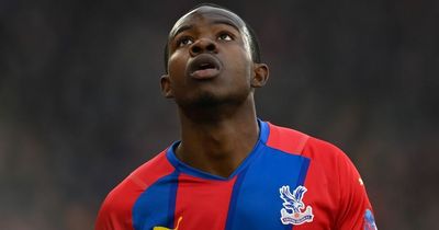 Tyrick Mitchell responds to Teemu Pukki as Crystal Palace settle for point vs Norwich