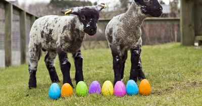 There's lots to do at West Lothian attraction this half term