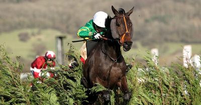 Chairman of Racecourse Media Group Roger Lewis to stand down as payments to shareholders back to pre-Covid levels