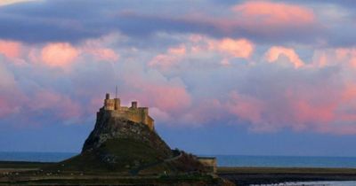 'Highly pathogenic' variant of bird flu cases confirmed on Holy Island in Northumberland