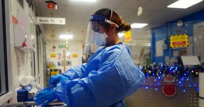 Fake Covid PPE companies are shut down