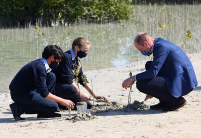 Prince William plants trees, builds bridges on UAE visit