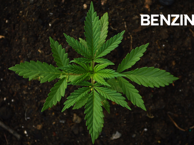 Agra Ventures To Acquire Cannabis-Focused Tech Platform Twenty One, Reports Strong Revenue