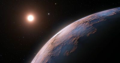 Astronomers find new planet called Proxima d