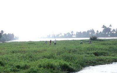 Restoration of Pazhukkanila river mouth in Kottayam is expected to bolster farming, tourism in the region