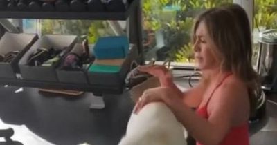 Jennifer Aniston's adorable dogs refuse to leave her side during her workout