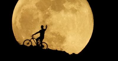 When is the next full moon in 2022? Full lunar calendar including dates and peak times