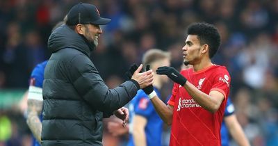 Jurgen Klopp contacted former Liverpool star to ask about Luis Diaz