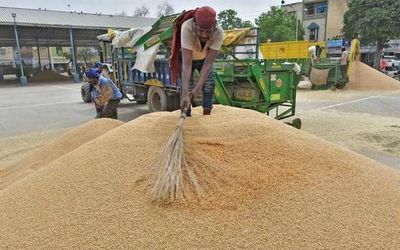 An MSP scheme to transform Indian agriculture