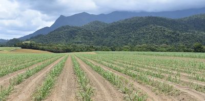 National parks are not enough – we need landholders to protect threatened species on their property