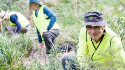 Port Stephens Council funds green community projects