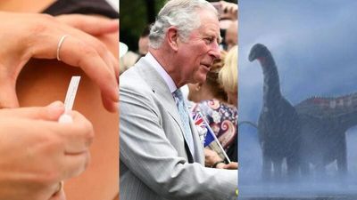 The Loop: Definition of 'fully vaccinated' to change, Prince Charles met with Queen before positive COVID test, Tasmania's Commonwealth Games bid