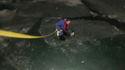 Duck Rescued After Getting Trapped In The Ice On Frozen Detroit River