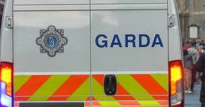 Gardai and emergency services rush to the scene of overturned car in Dublin