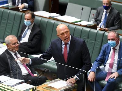 Albanese hits back at China poll claim