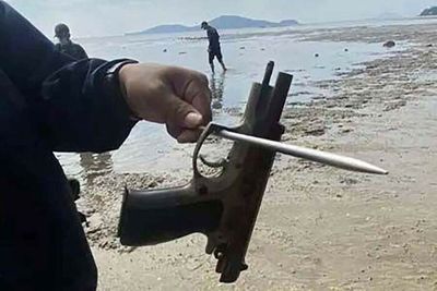 Guns used to kill gangster found in sea