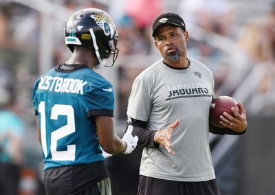 Players get their wish, Vikings keep Keenan McCardell as receivers coach