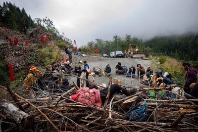 Missing environmental demonstrator Kevin ‘Bear’ Henry found after weeks in Canadian wilderness