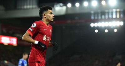 'It seems a ridiculous thing to say' - national media react to Liverpool win and Luis Diaz's first start
