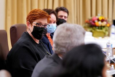 Quad to strengthen cyber-terrorism cooperation- Australia's Payne