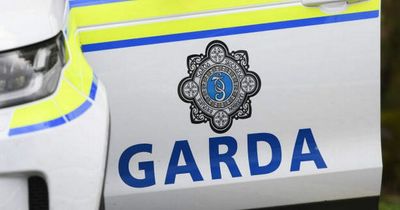 Boy, 12, dead after car he was driving collided with lorry in horror Limerick crash