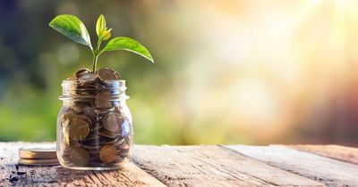 Royal Bank of Scotland launches green loans