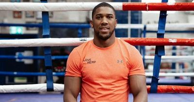 Anthony Joshua-backed CBD brand Love Hemp expands Deliveroo deal