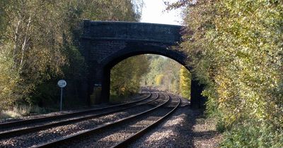 Consultation into £550m Hinckley rail freight interchange extended following public criticism