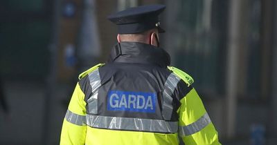 Limerick crash: Boy, 12, killed after car he was driving collided with lorry