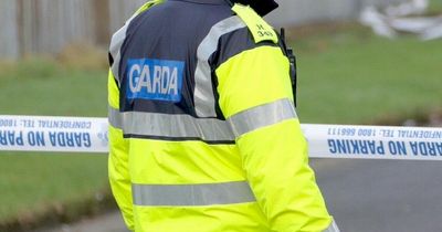 GSOC received over 1,300 complaints against gardai in Dublin in 2021
