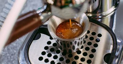 New Glasgow south side coffee spot French Monkey opens today