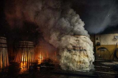 The Macallan’s journey from tree to seasoned cask