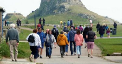 Public urged to follow rules after bird flu outbreak on Northumberland's Holy Island