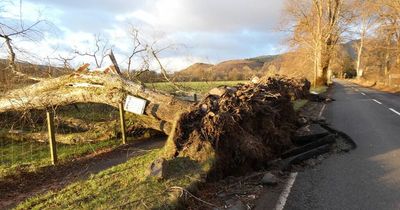 Politicians raise emergency planning questions after Storm Arwen chaos