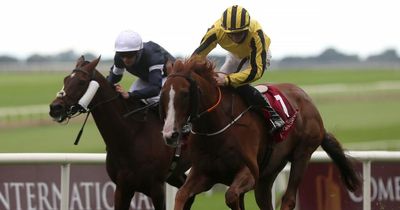 Johnny Murtagh aiming to deliver a knockout blow with Sonnyboyliston in Saudi Arabia