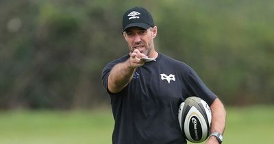 Ospreys coach quits for personal reasons