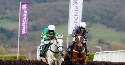Paddy Power poll reveals one in four 'pull a sickie' during Cheltenham Festival action