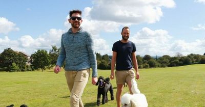 'We chose dogs over having children — and it works for us perfectly'